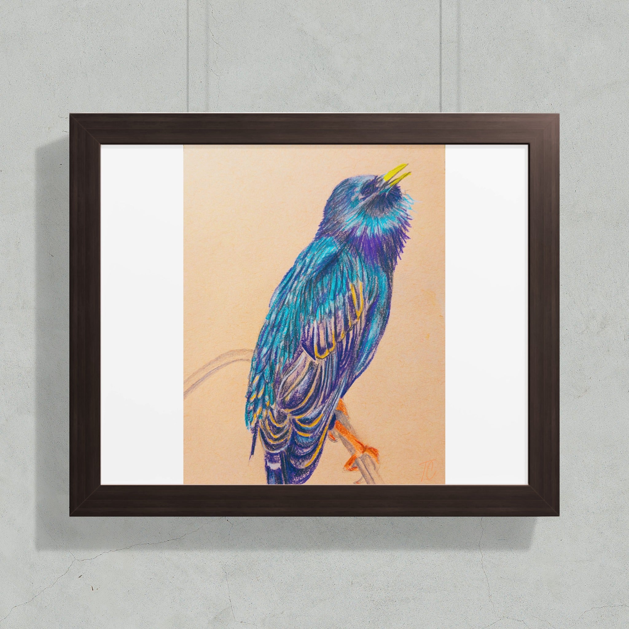 Drawing of a colorful starling perched on a branch.