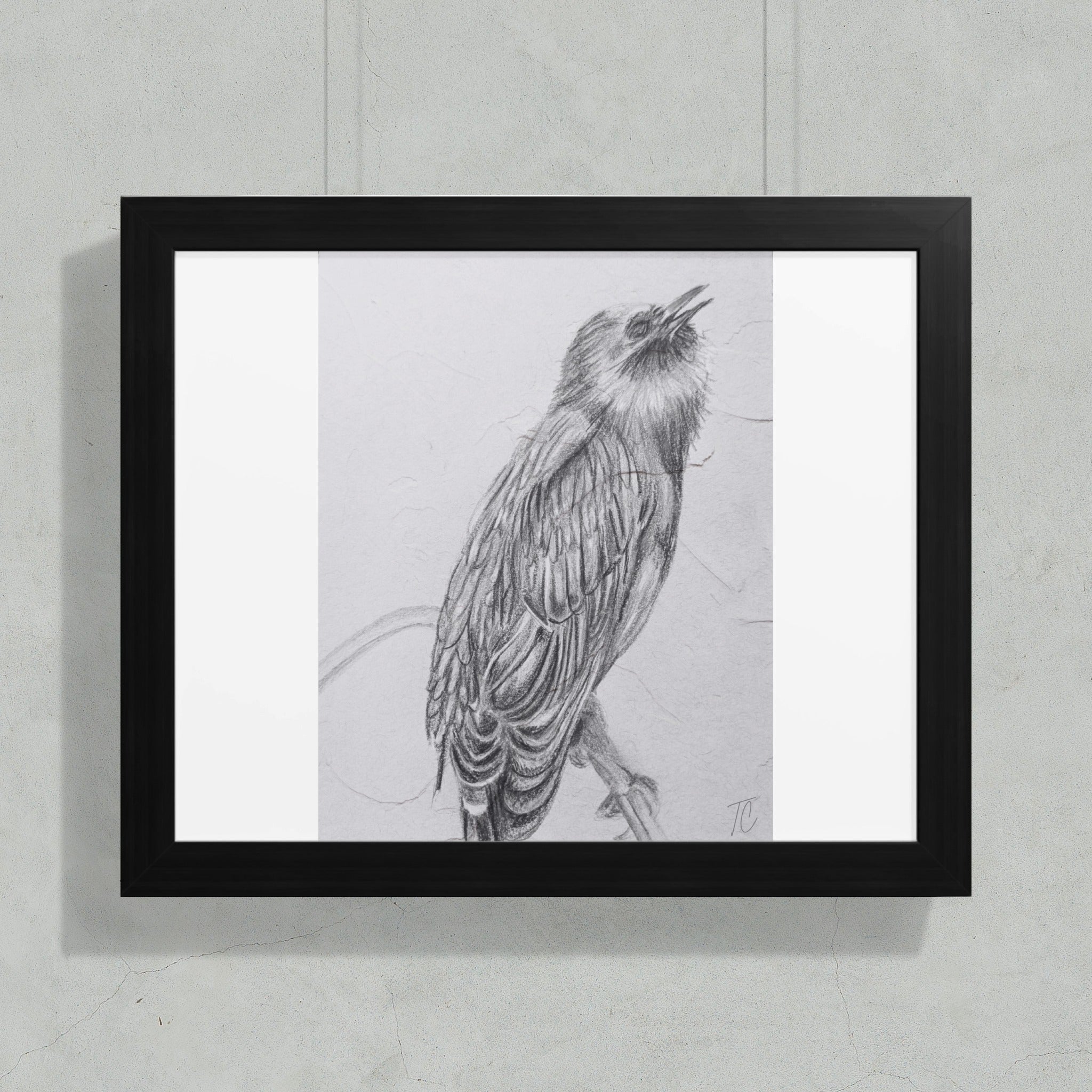 Pencil sketch of a bird perched on a branch, signed "JT".