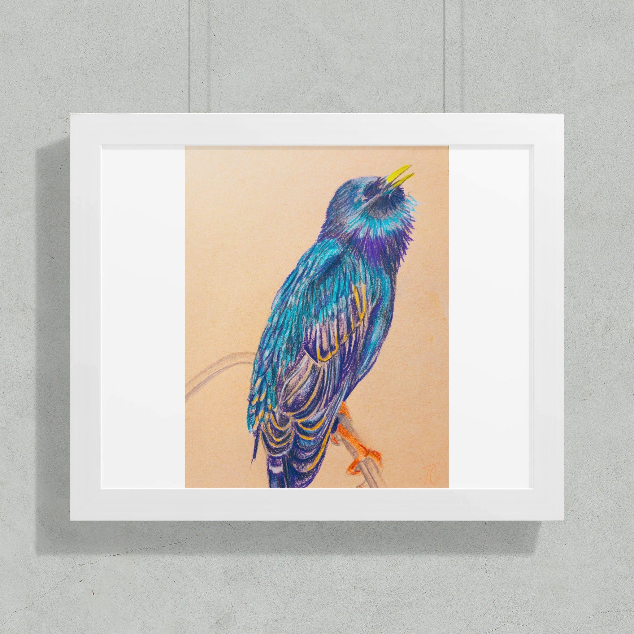 Colored pencil drawing of a colorful starling perched on a branch.