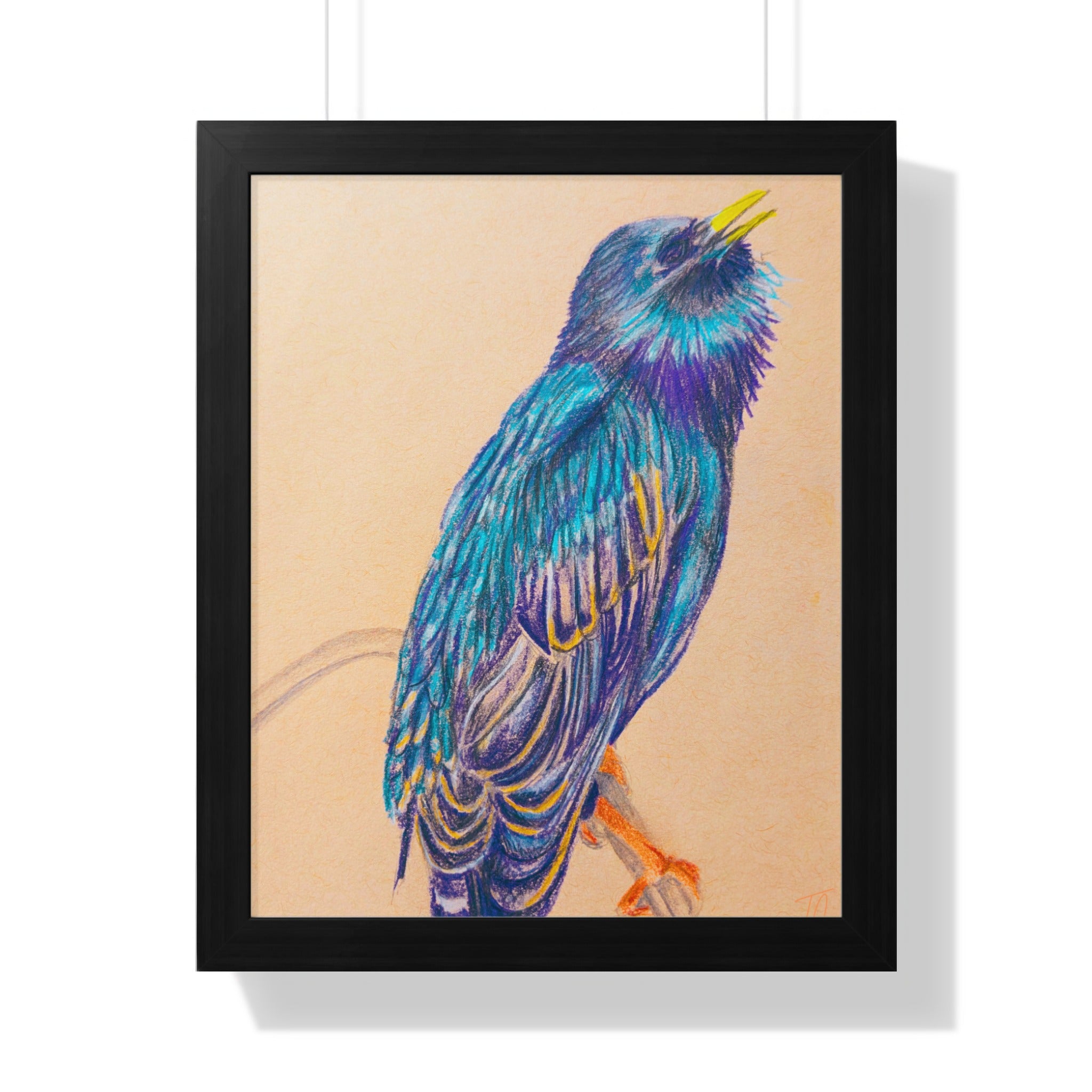 Framed colored pencil drawing of a blue and yellow bird perched on a branch.