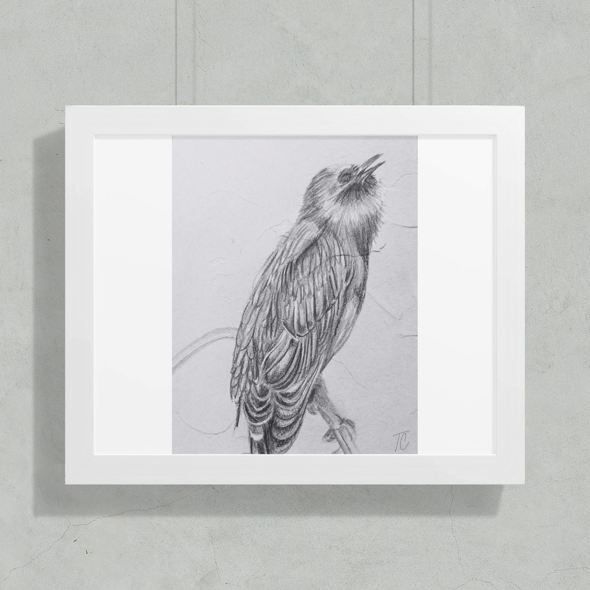 Pencil sketch of a bird looking upwards, framed in white.