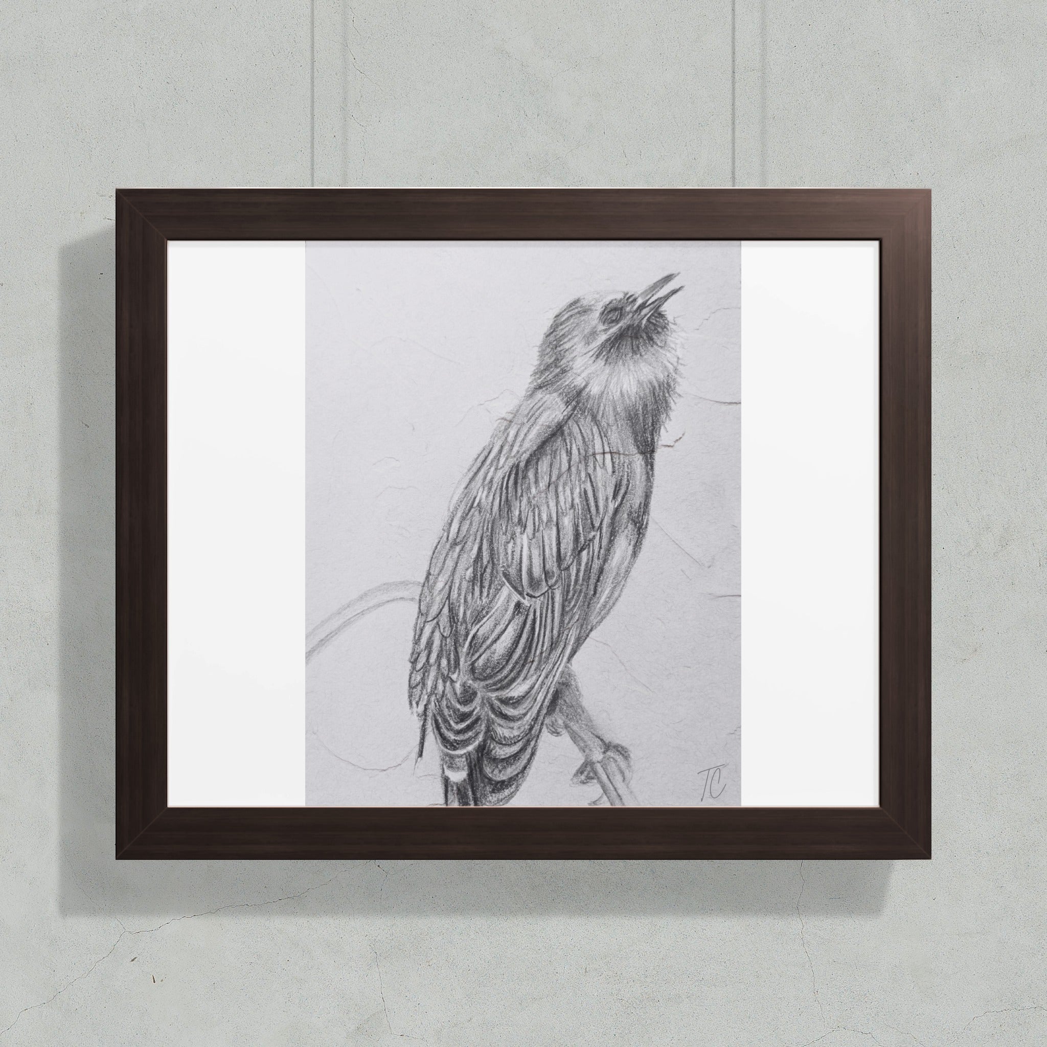 Pencil sketch of a bird with detailed feathers perched on a branch.