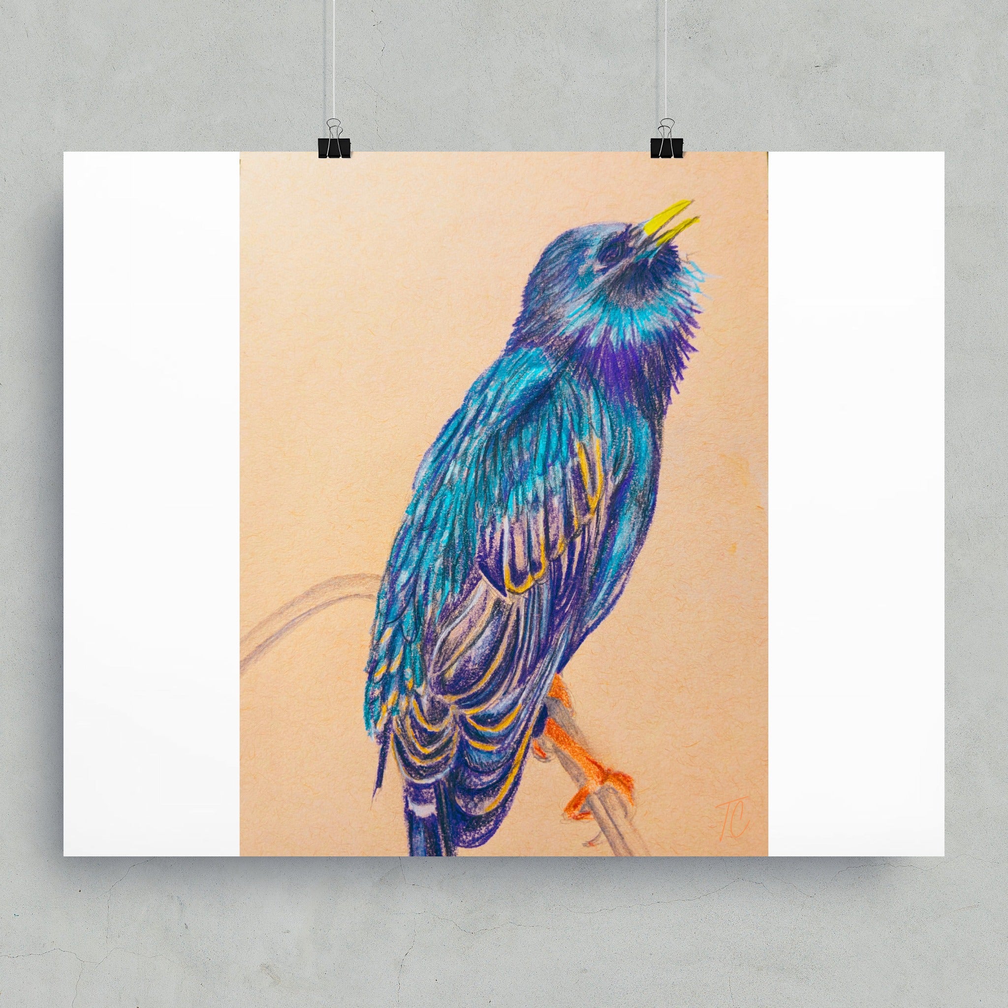 Colored pencil drawing of a blue and yellow bird perched on a branch.
